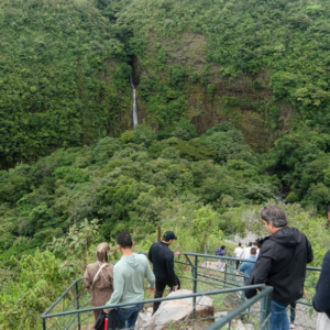 Brunch en el cañón